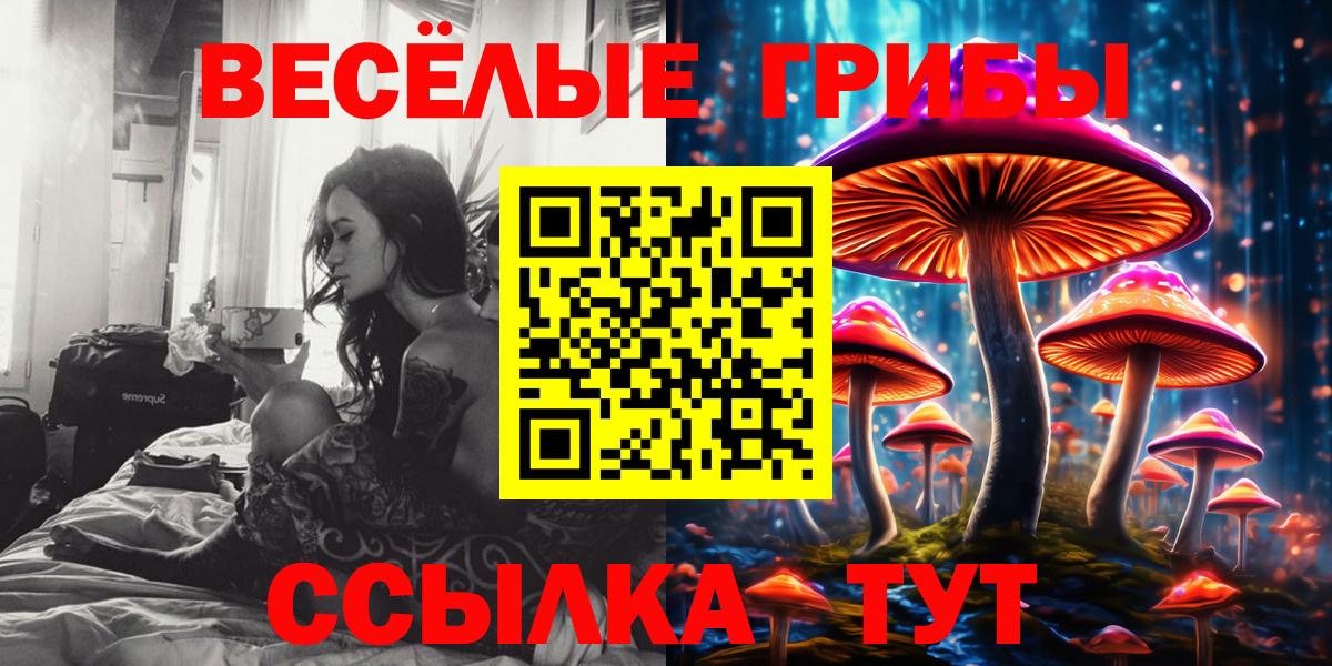 Псилоцибиновые грибы мицелий  Вход с VPN  Галлюциногенные грибы Magic Shrooms  Холмск 